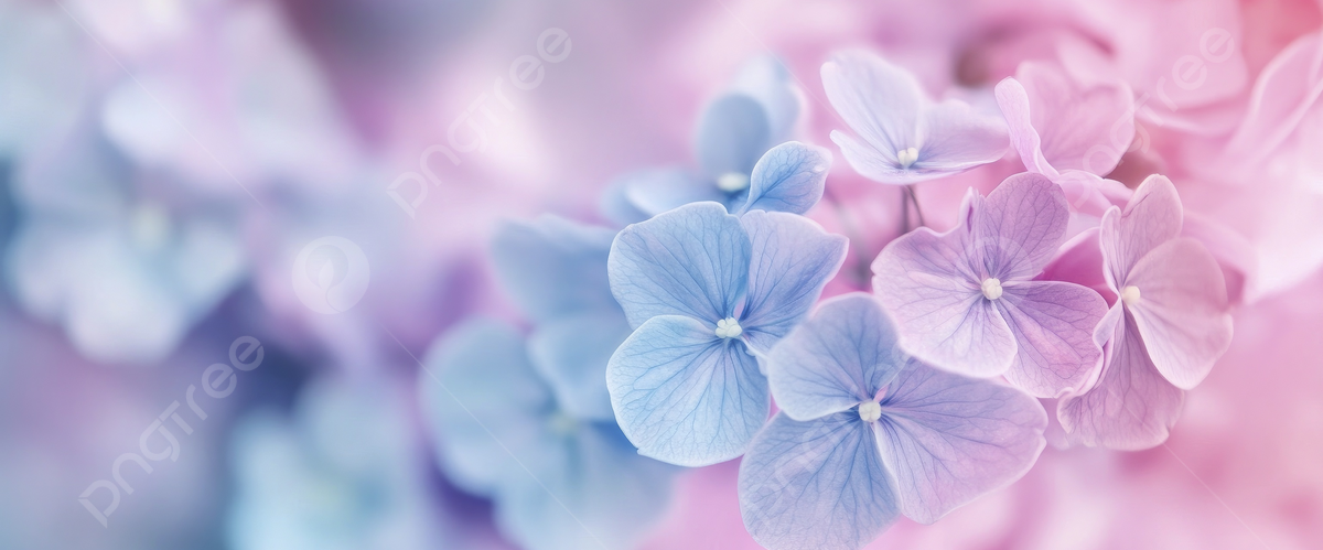 challenge background