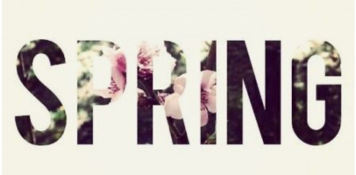 🌸Spring Steps🌸 logo