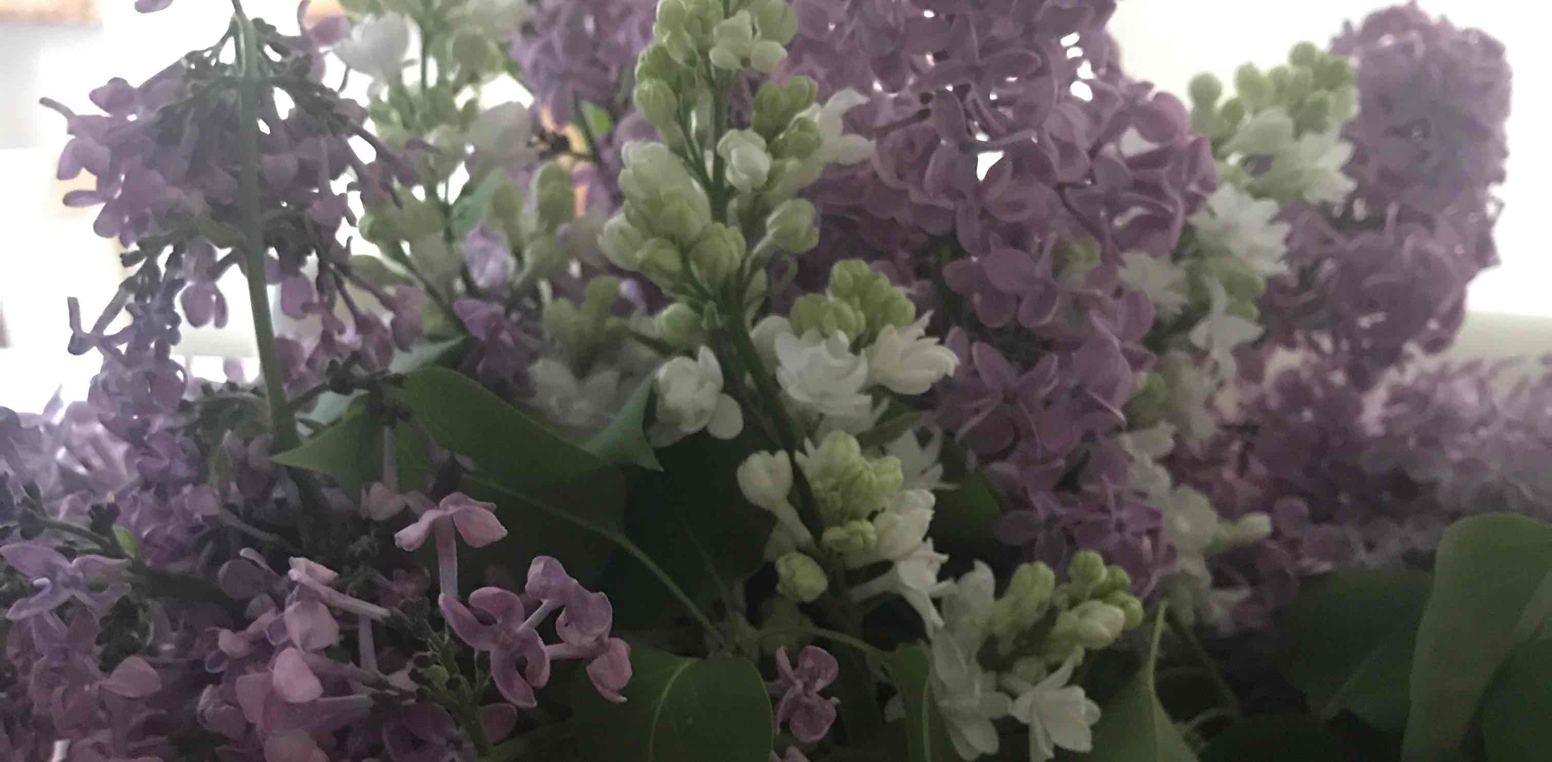 challenge background