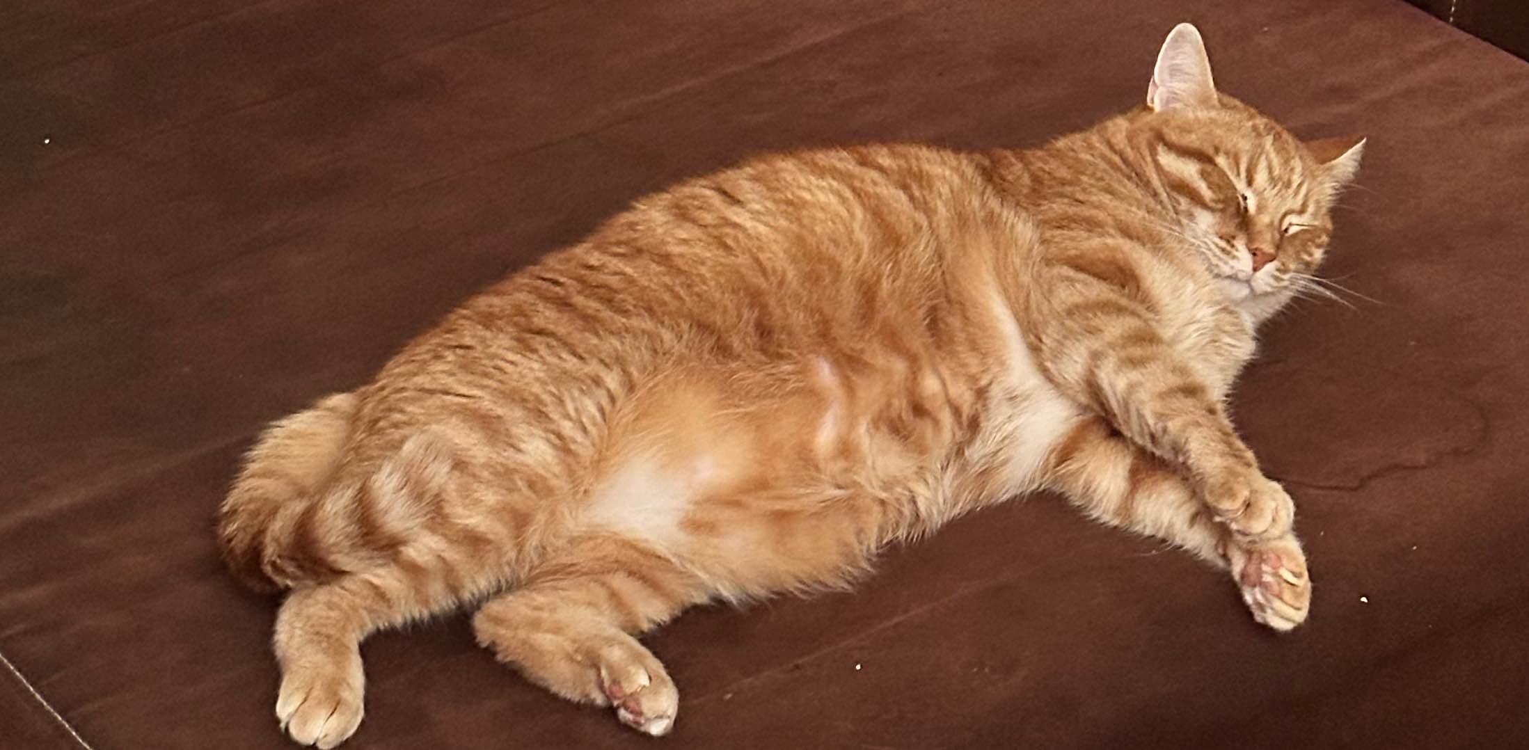 challenge background