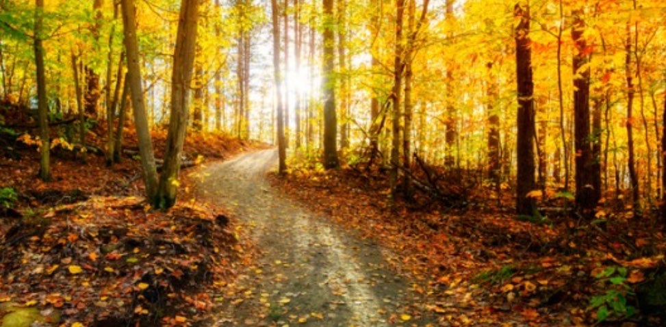 challenge background