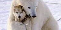 ๐ปโโ๏ธ5000๐ผ TENDRES DUOS ๐ป๐จ logo