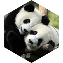 ๐ปโโ๏ธ5000๐ผ TENDRES DUOS ๐ป๐จ icon