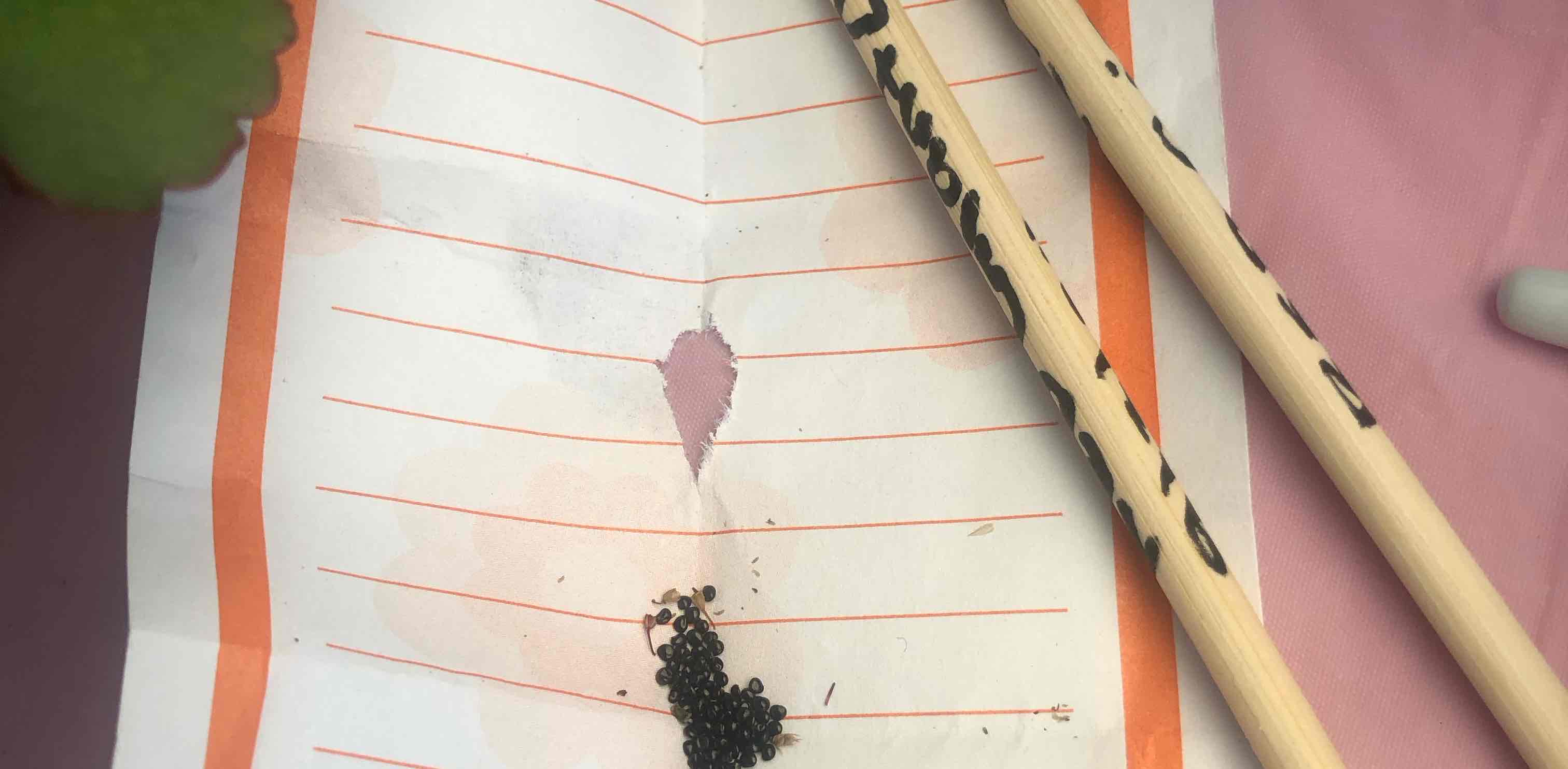 challenge background