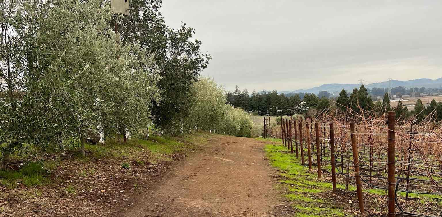 challenge background