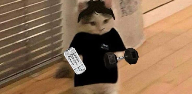 Sporty cats💪👣 logo