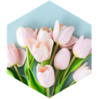 challenge badge