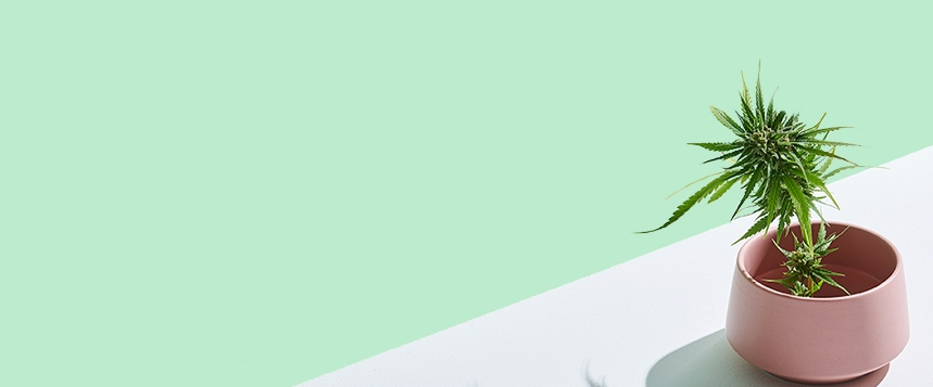 challenge background