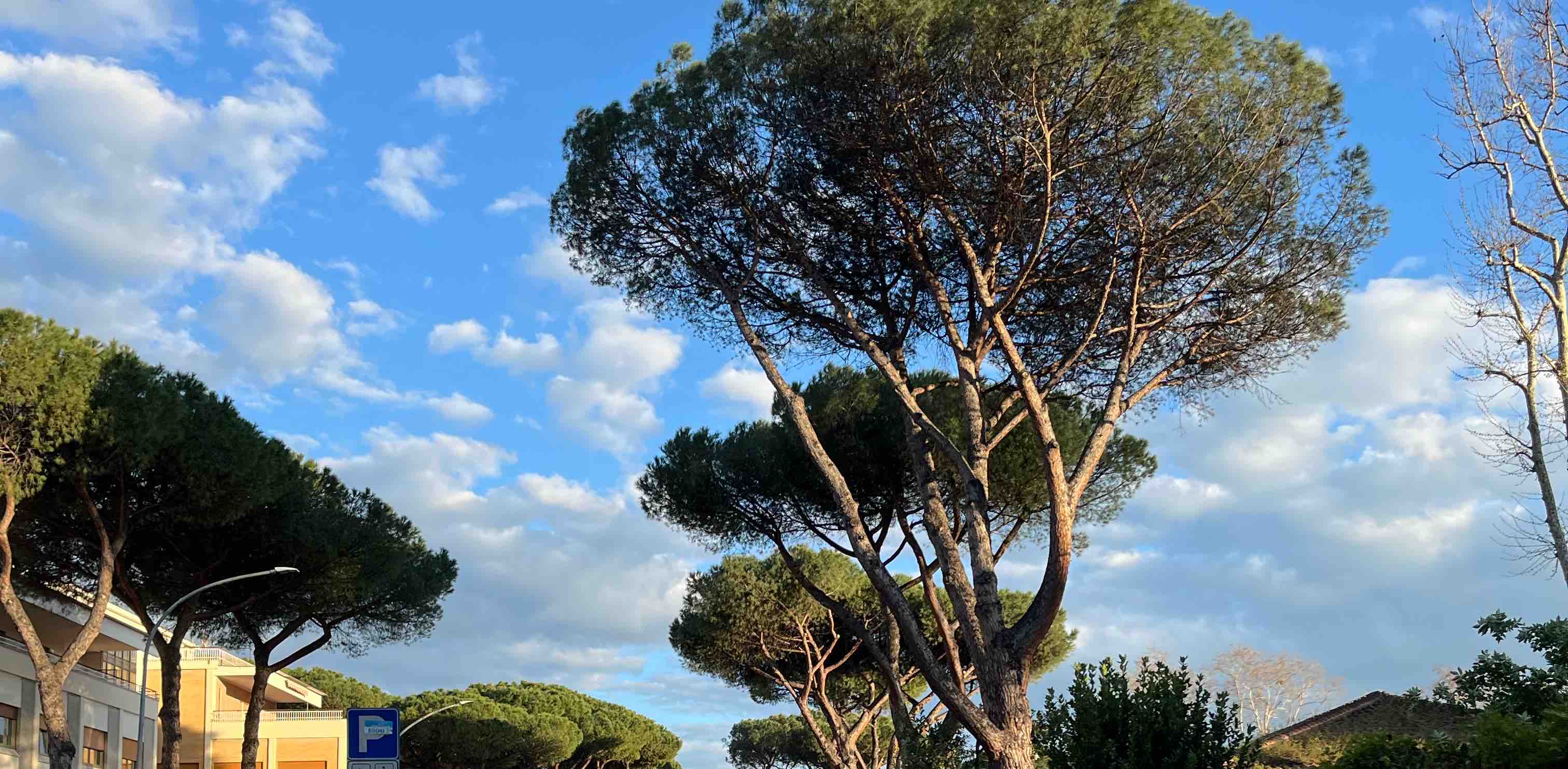 challenge background