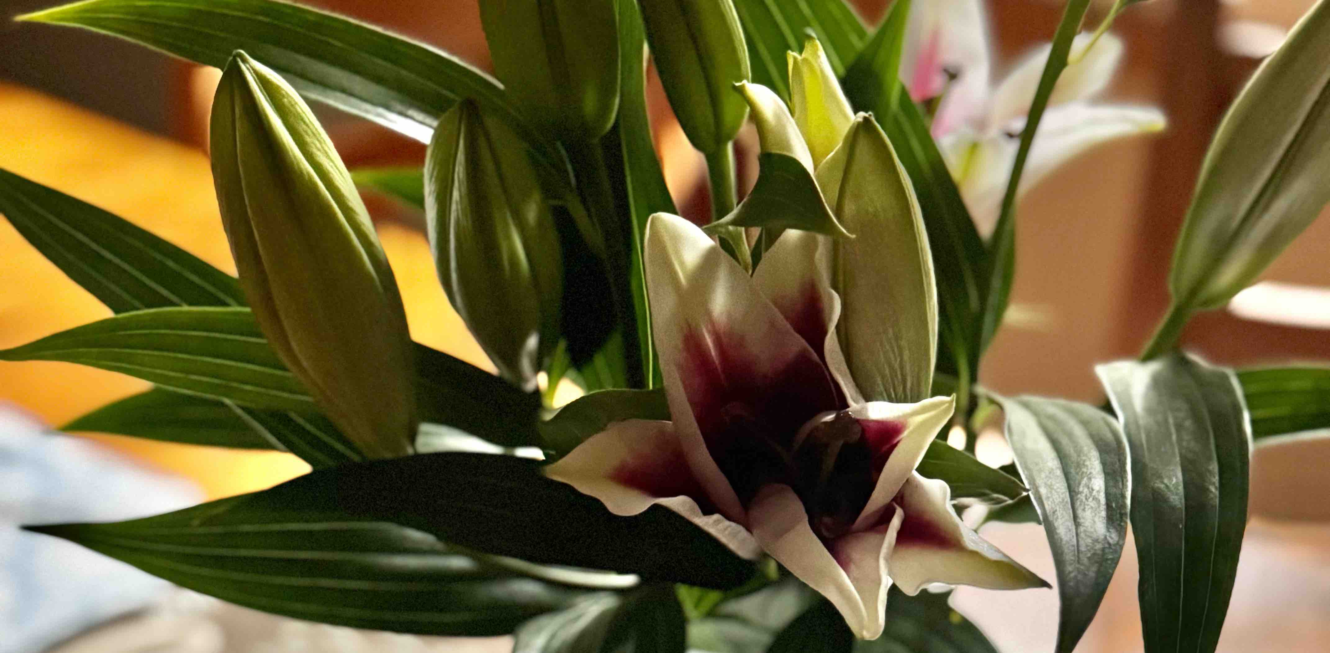 challenge background