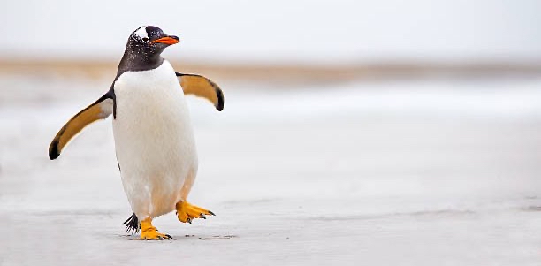 challenge background