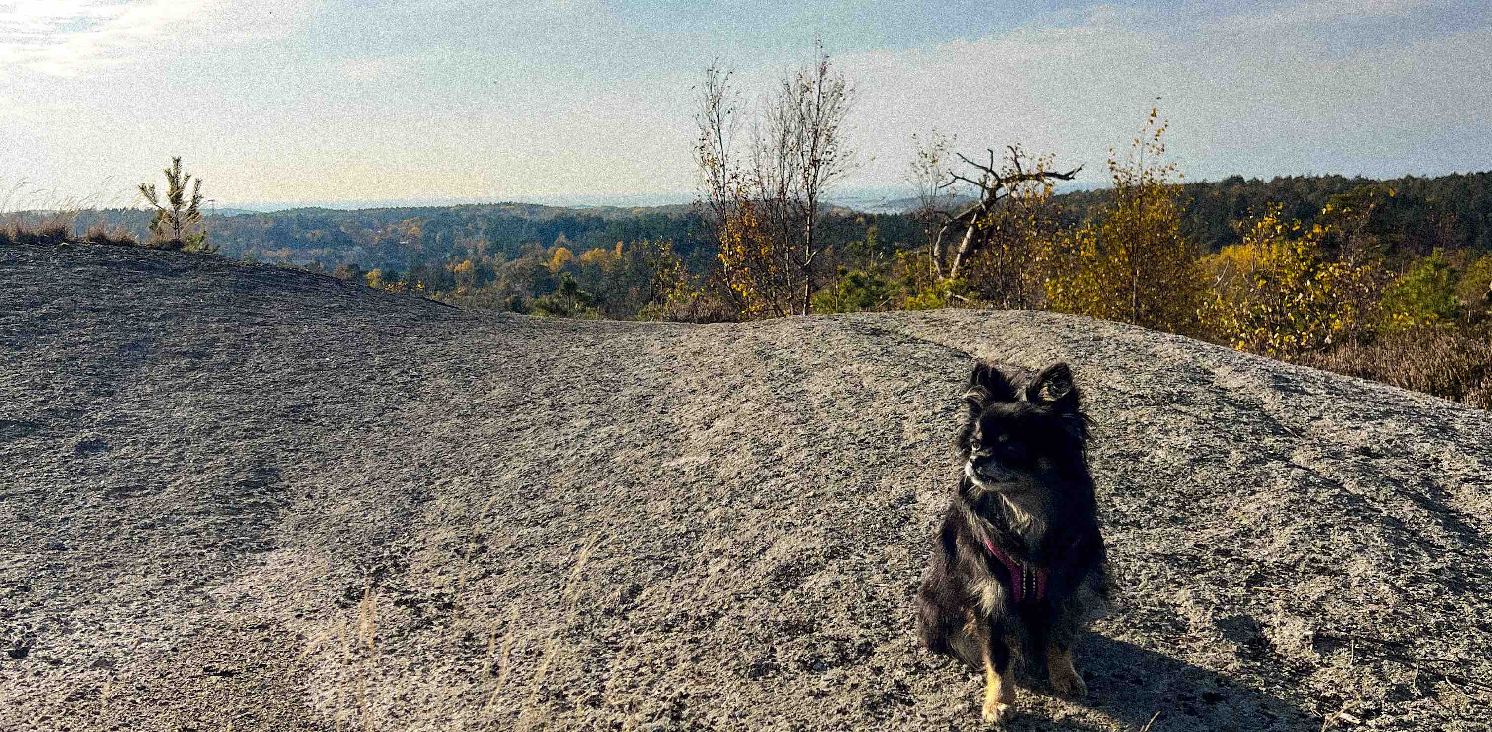 challenge background