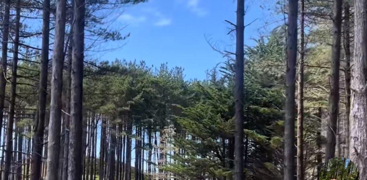 challenge background