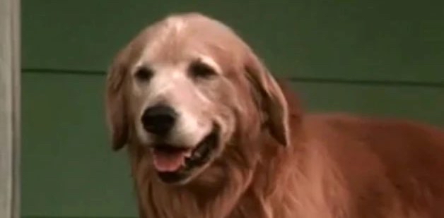 challenge background