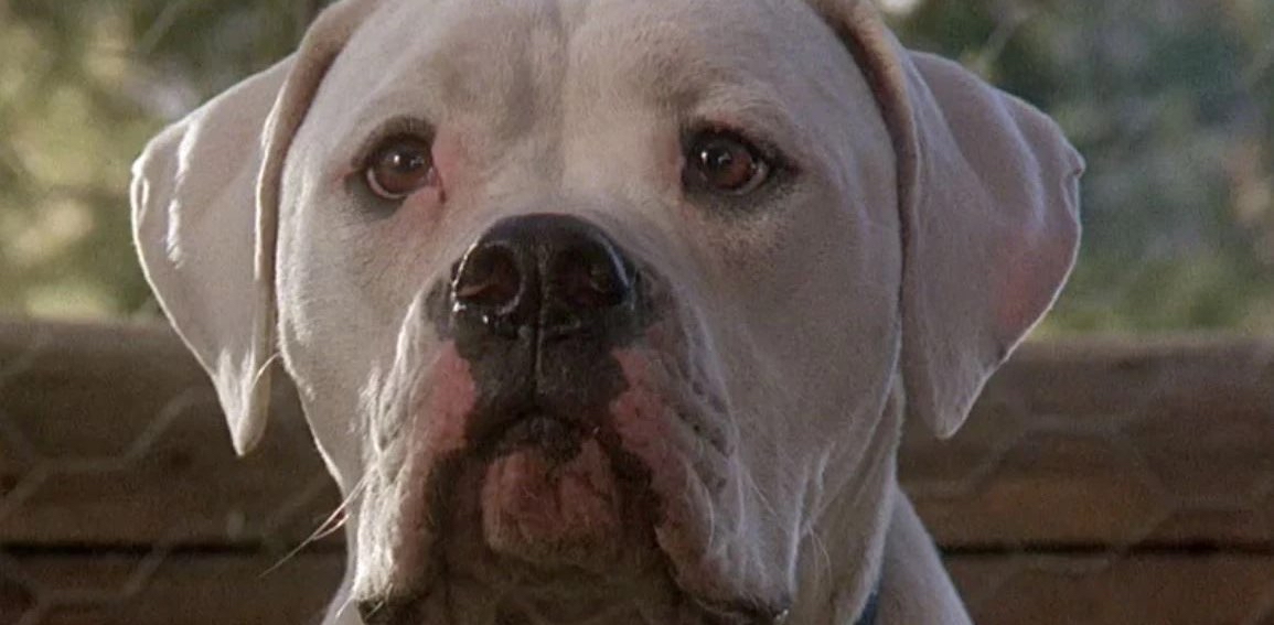 challenge background