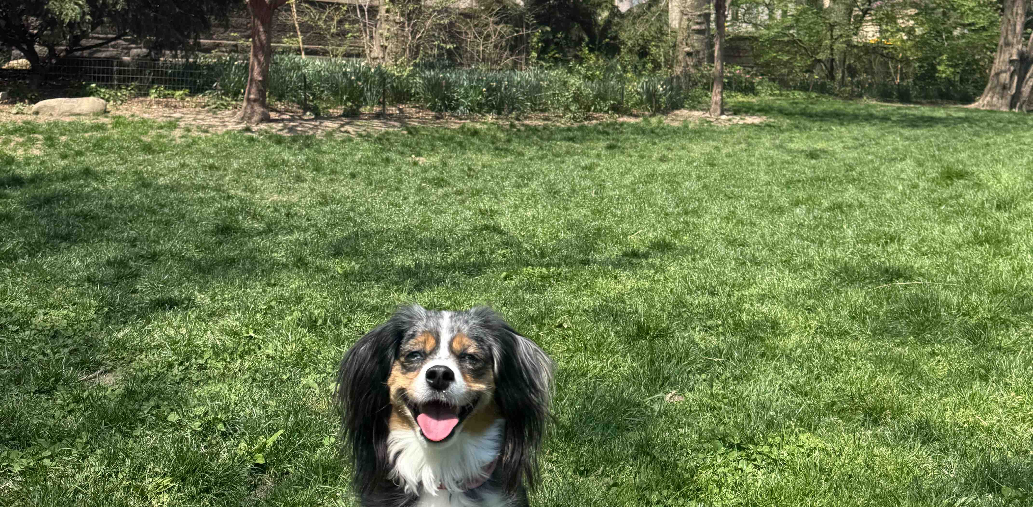 challenge background