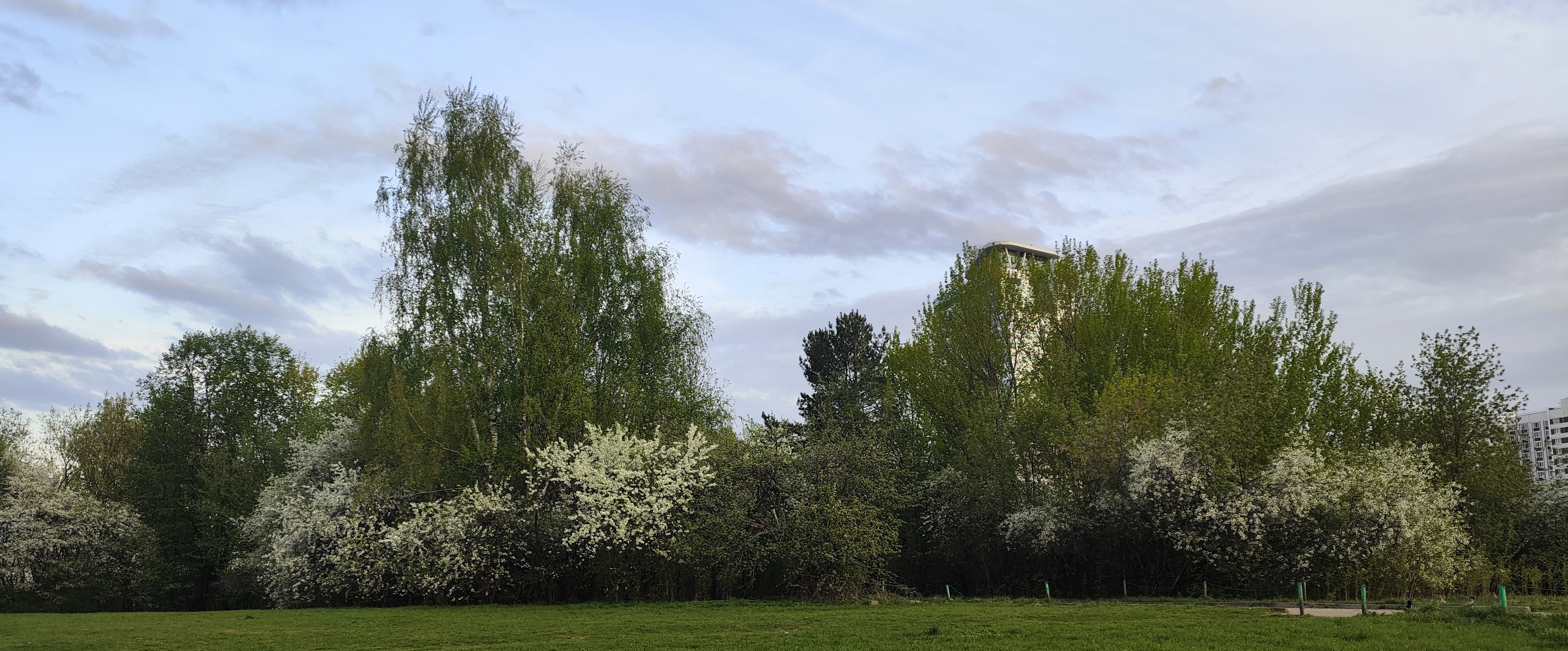 challenge background