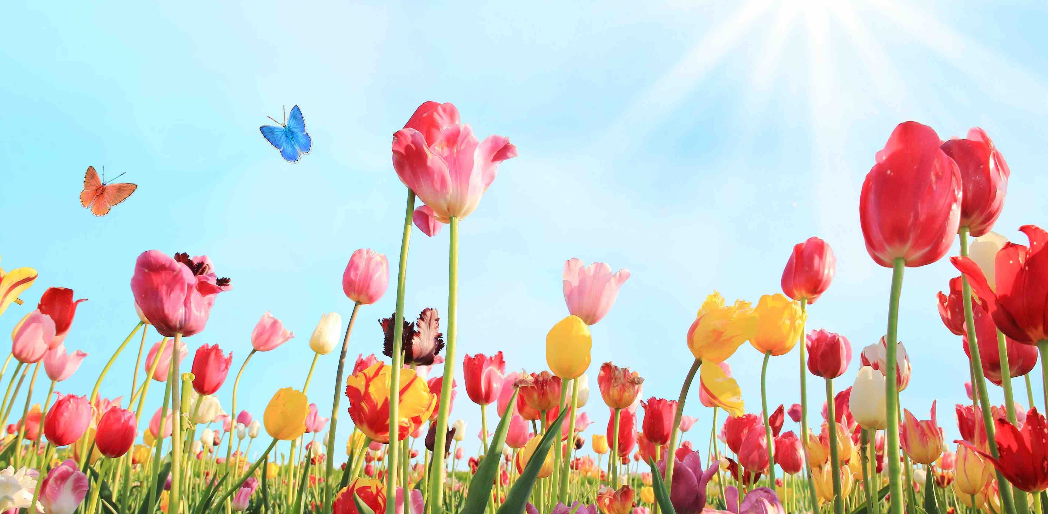 challenge background