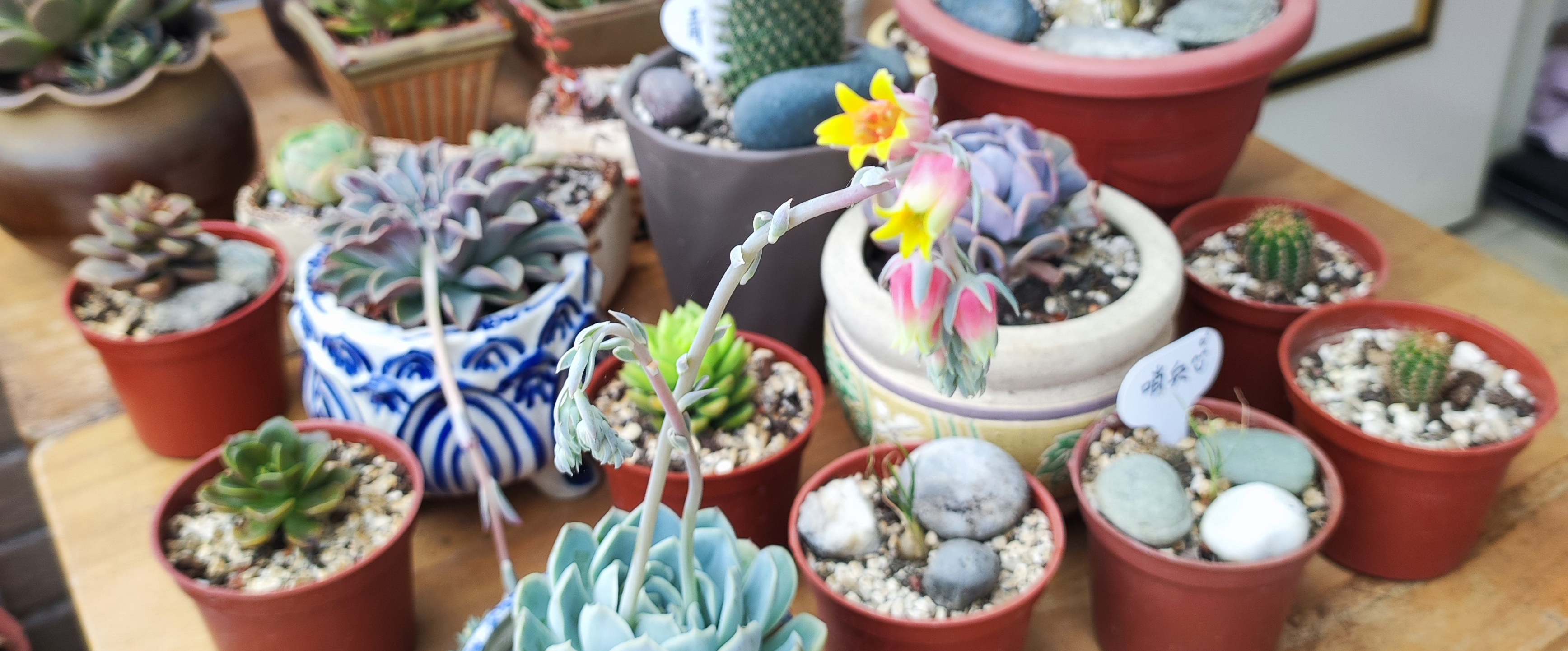 challenge background