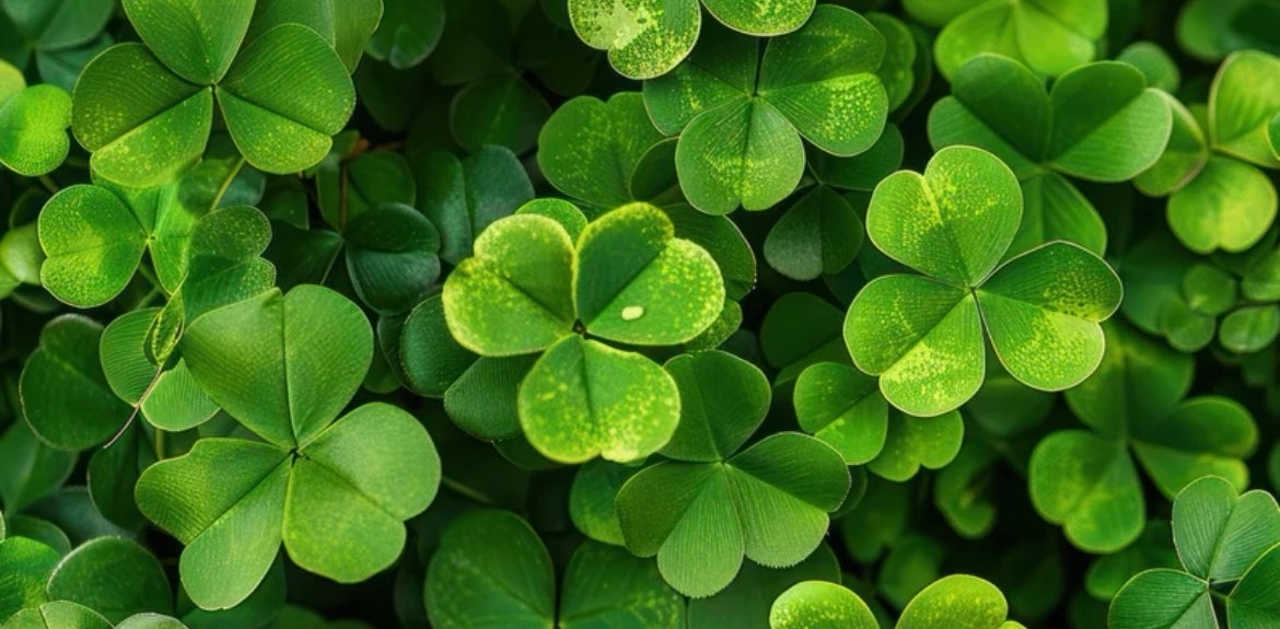 challenge background