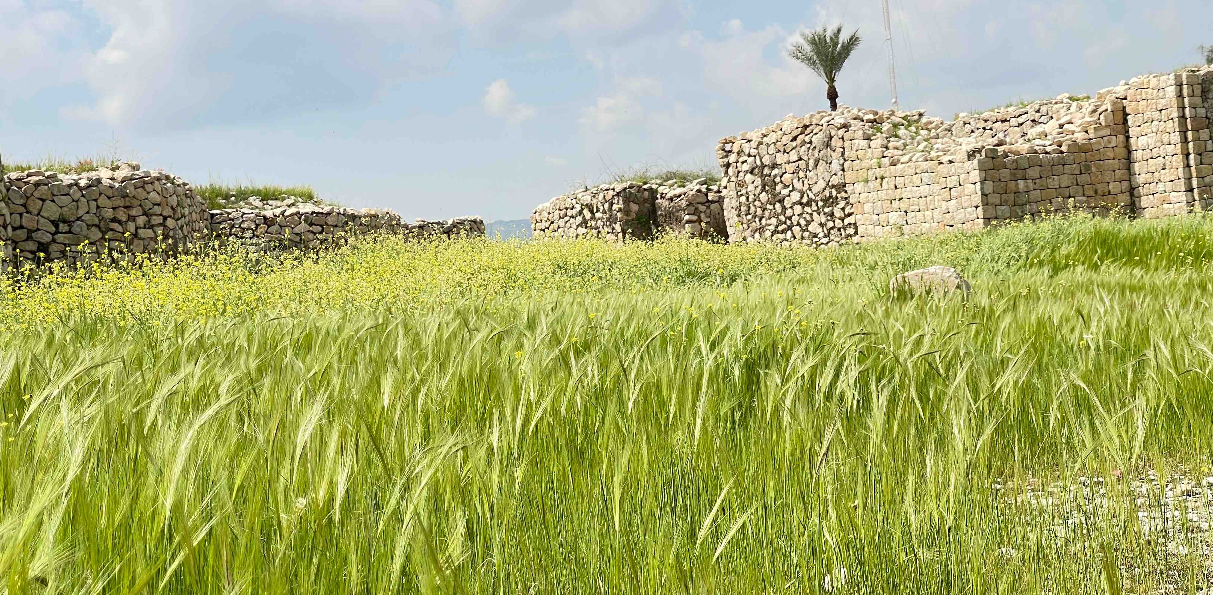 challenge background