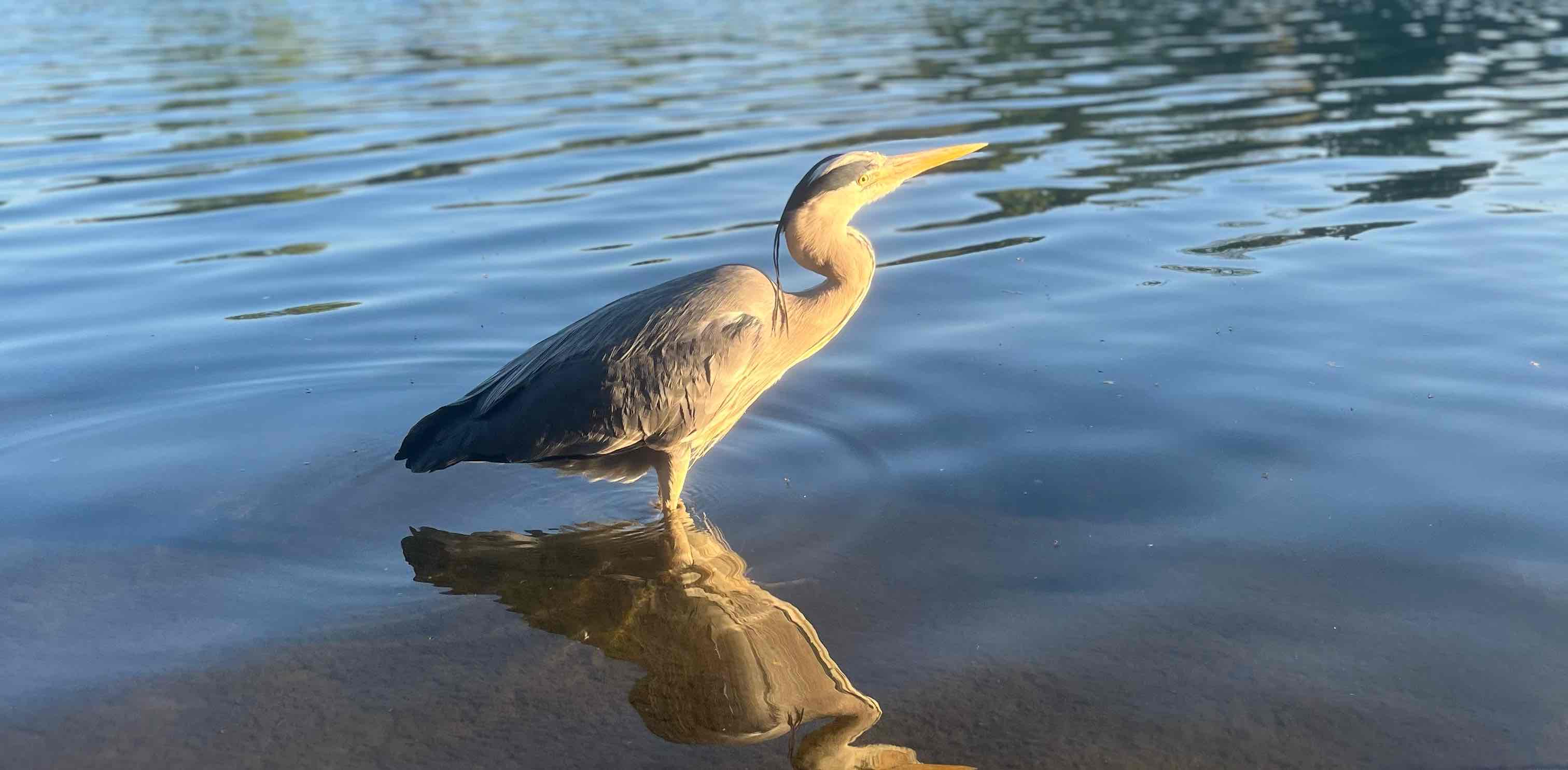 challenge background