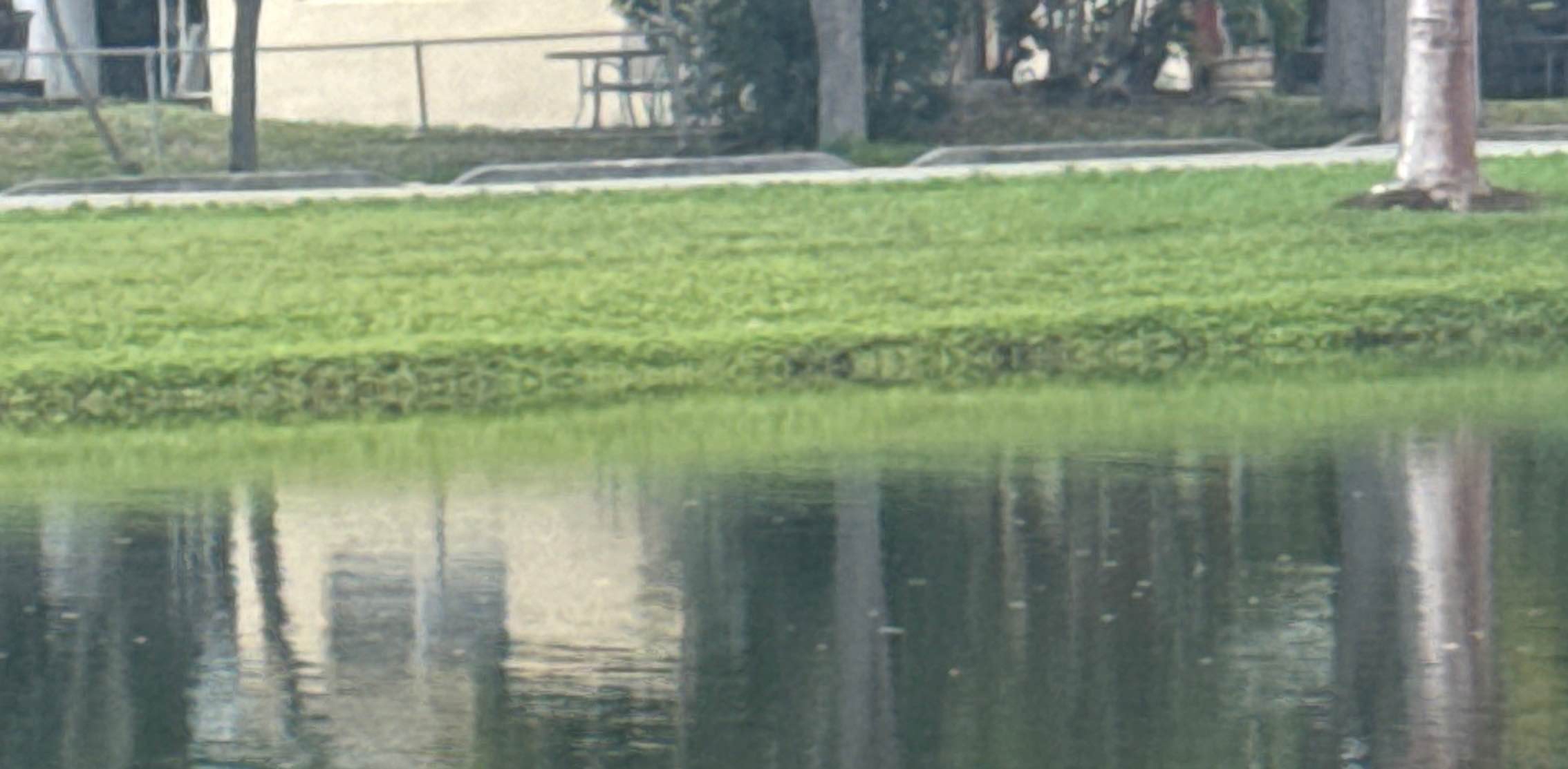 challenge background