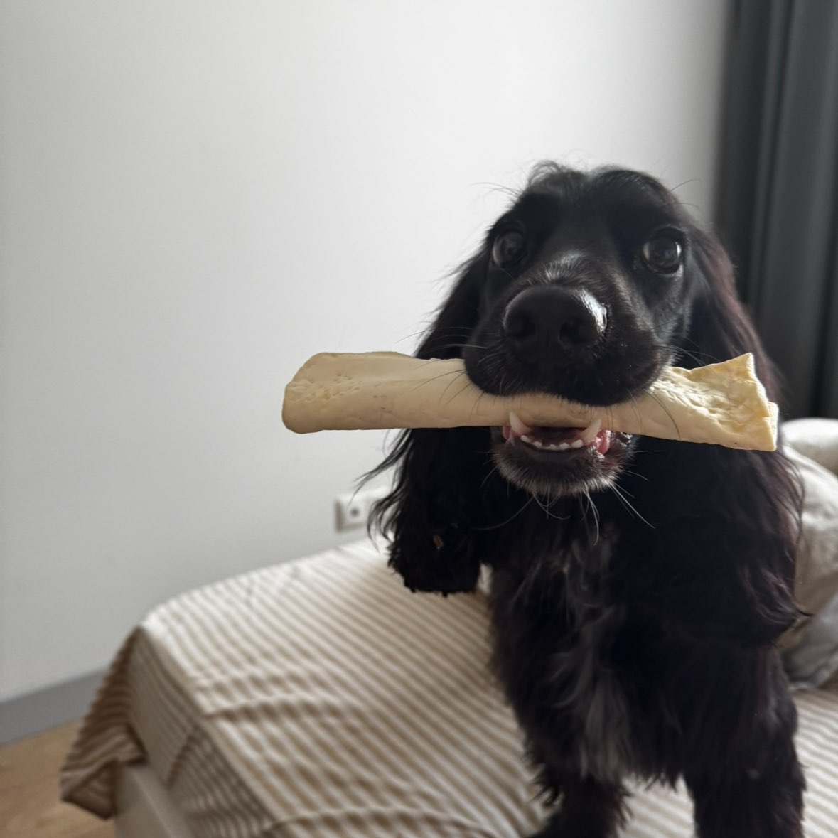 Тестовая группа logo