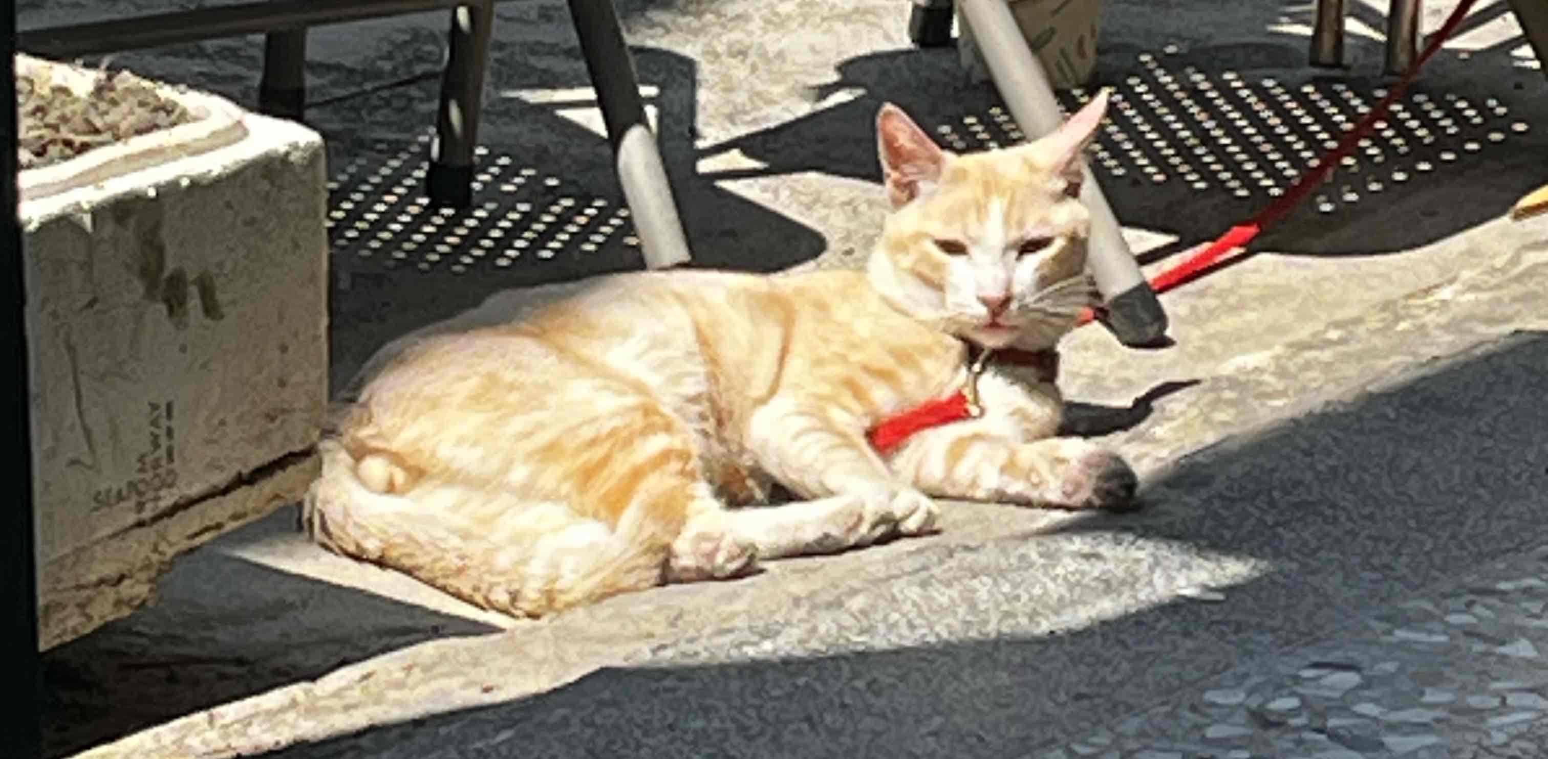 challenge background