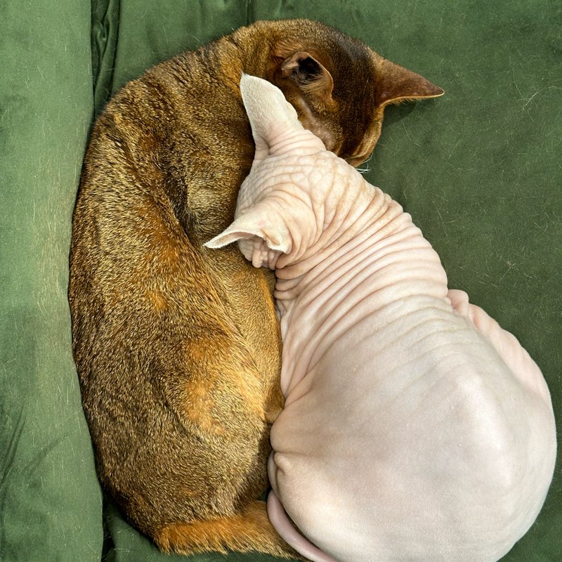 ТЕК-КОМ (тестовая) logo