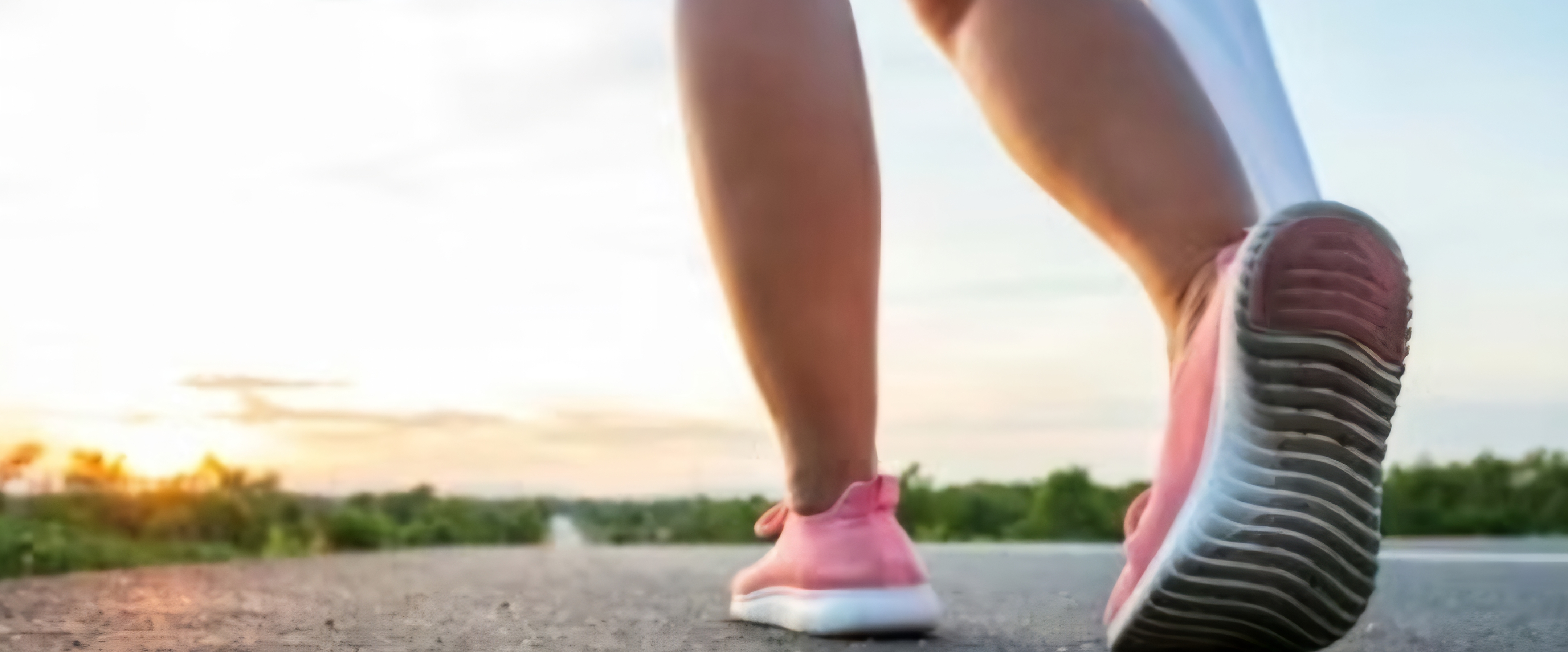 IPHA Student Branch logo