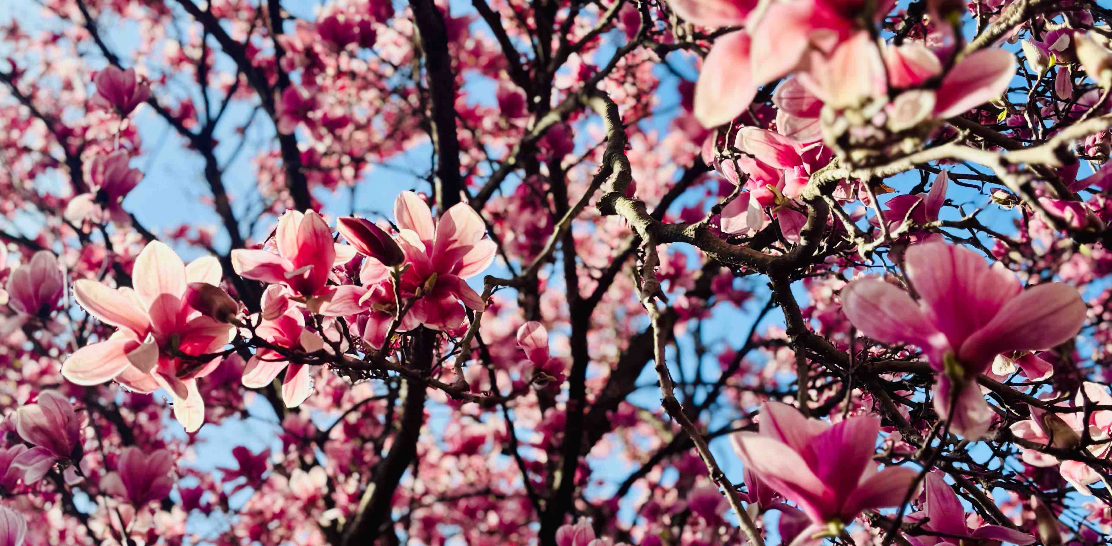 challenge background