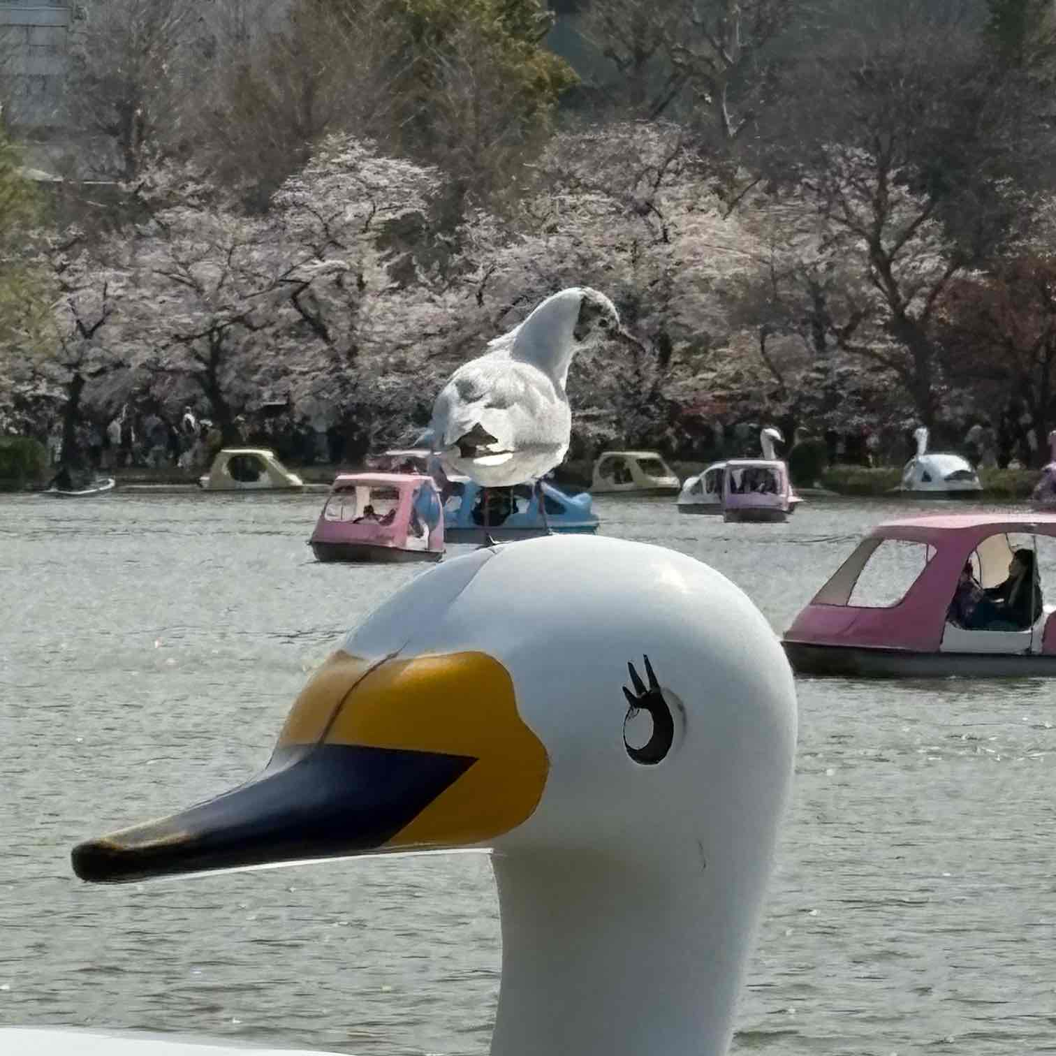 スワンカップ logo