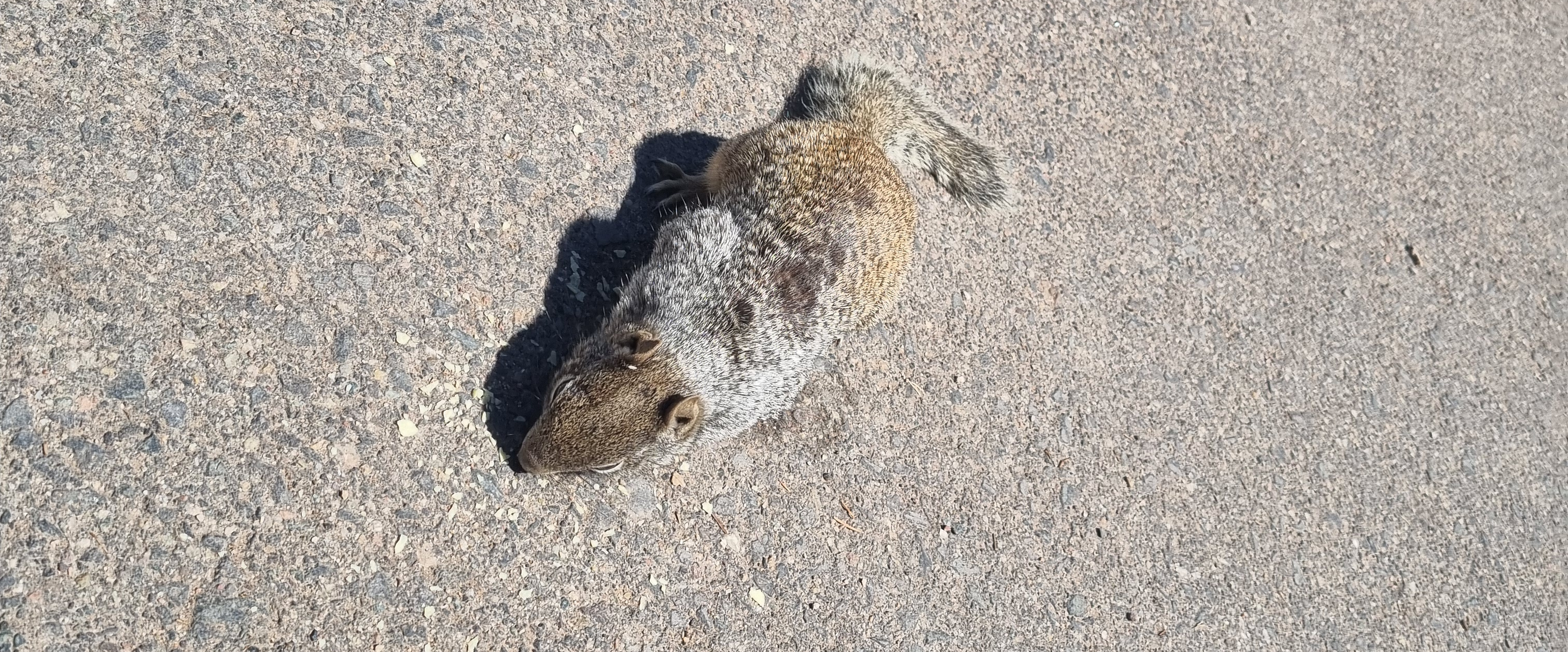 challenge background