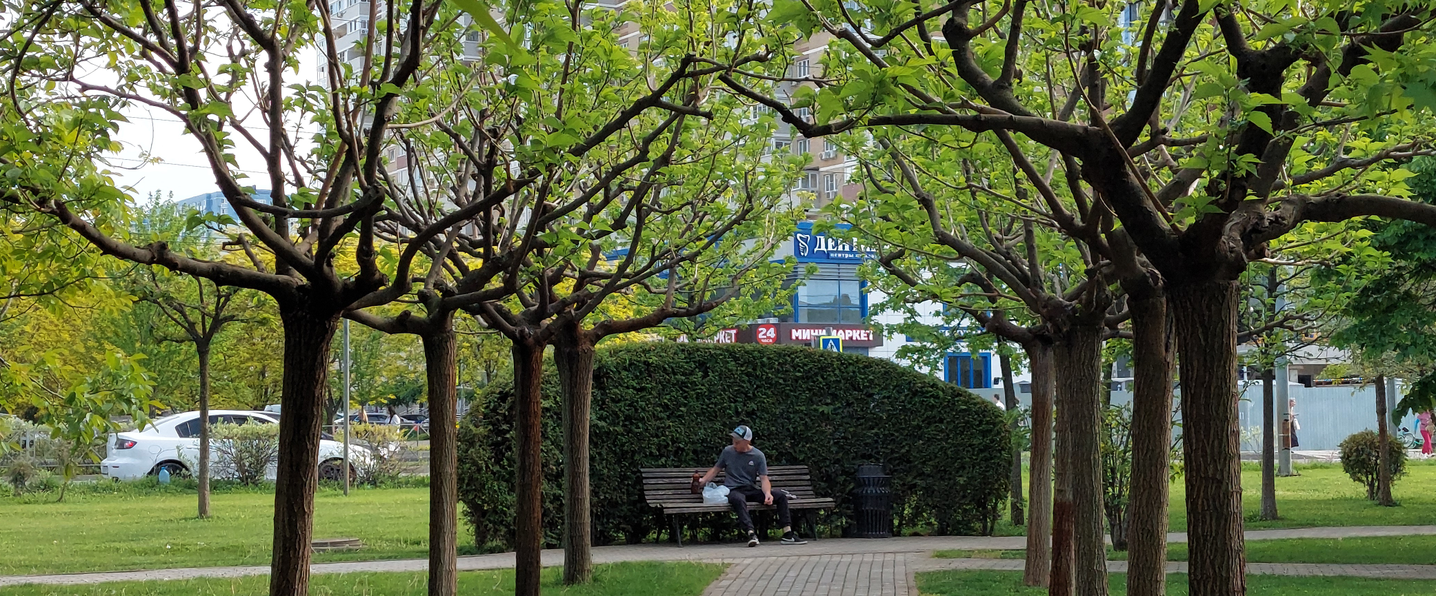 challenge background