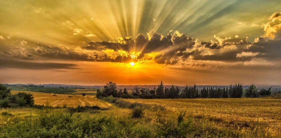 🌞Summer solstice day.🌞 logo