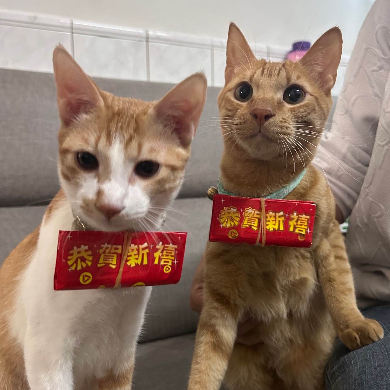 拒絕肥胖.維持運動.保持身體健康 logo