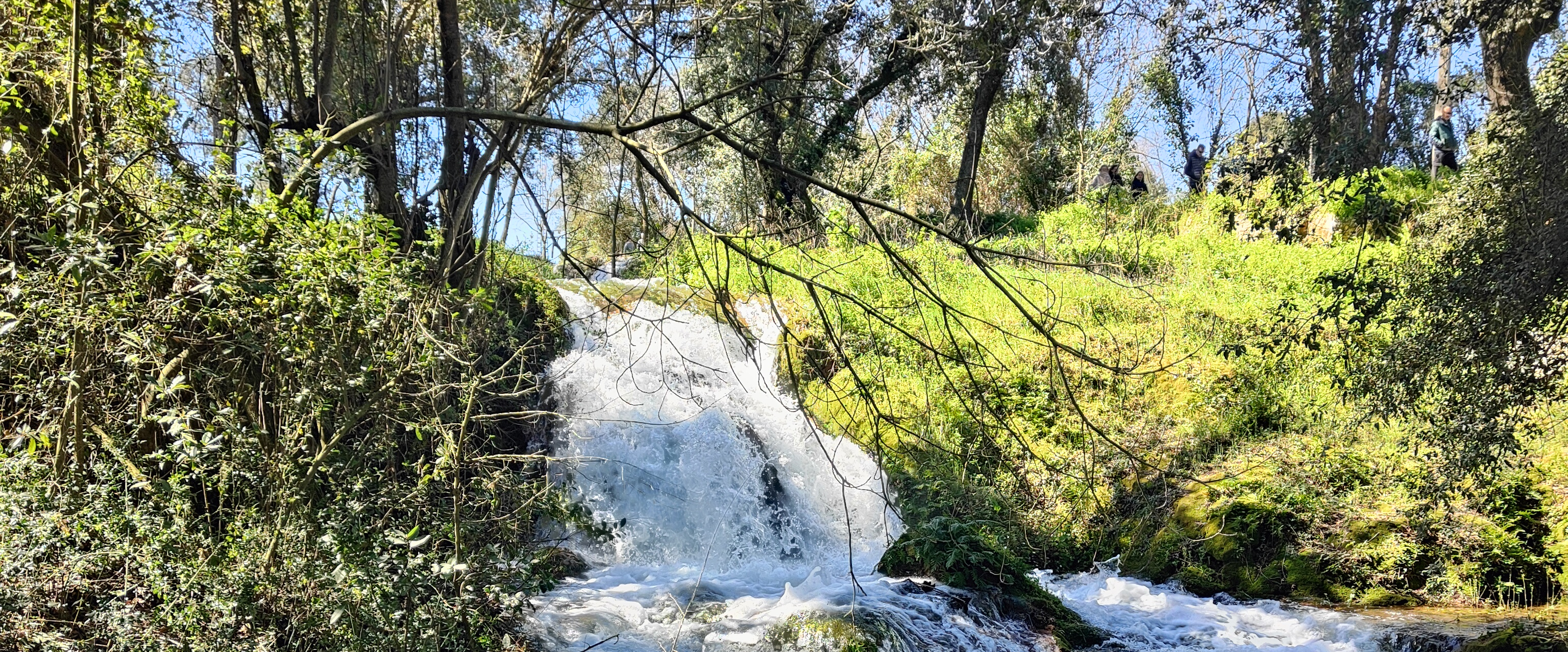 challenge background