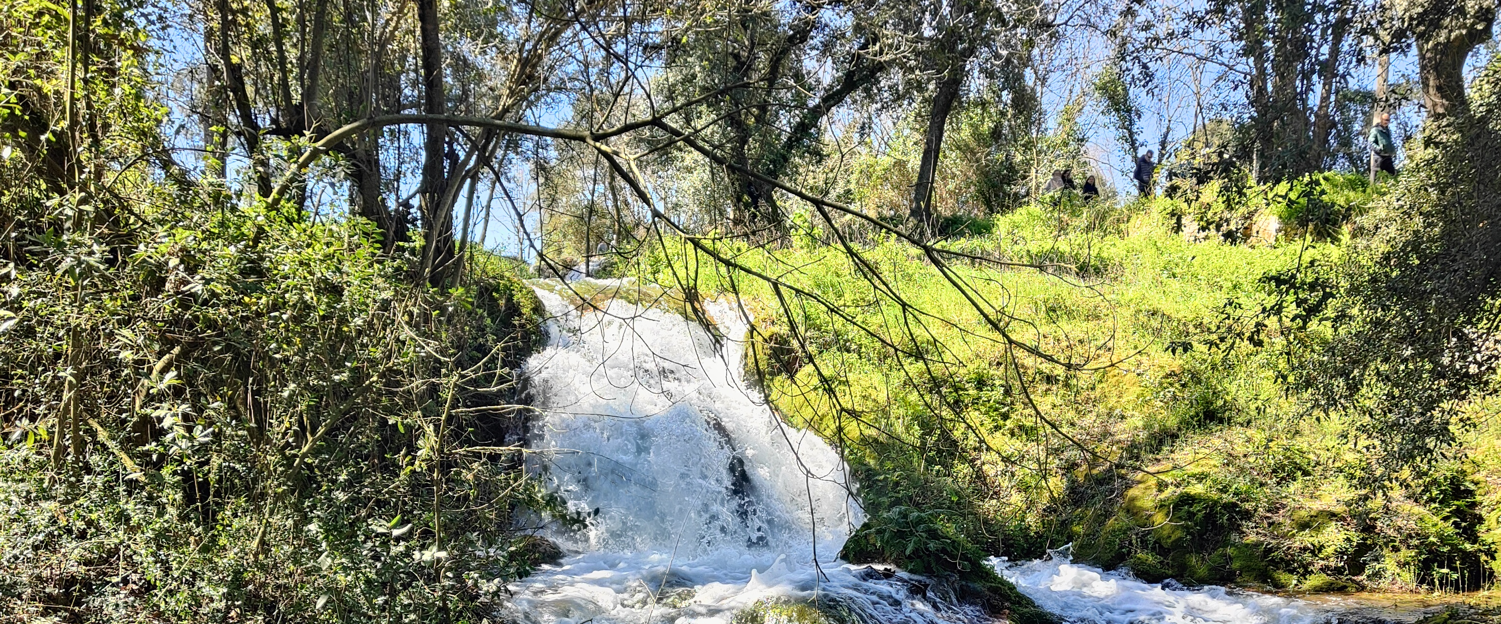 challenge background