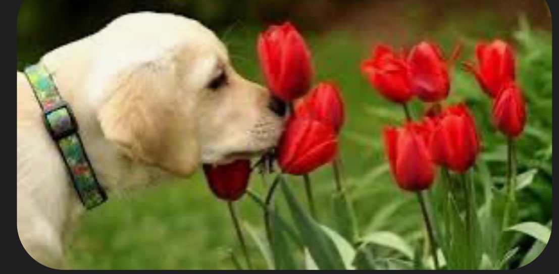 challenge background