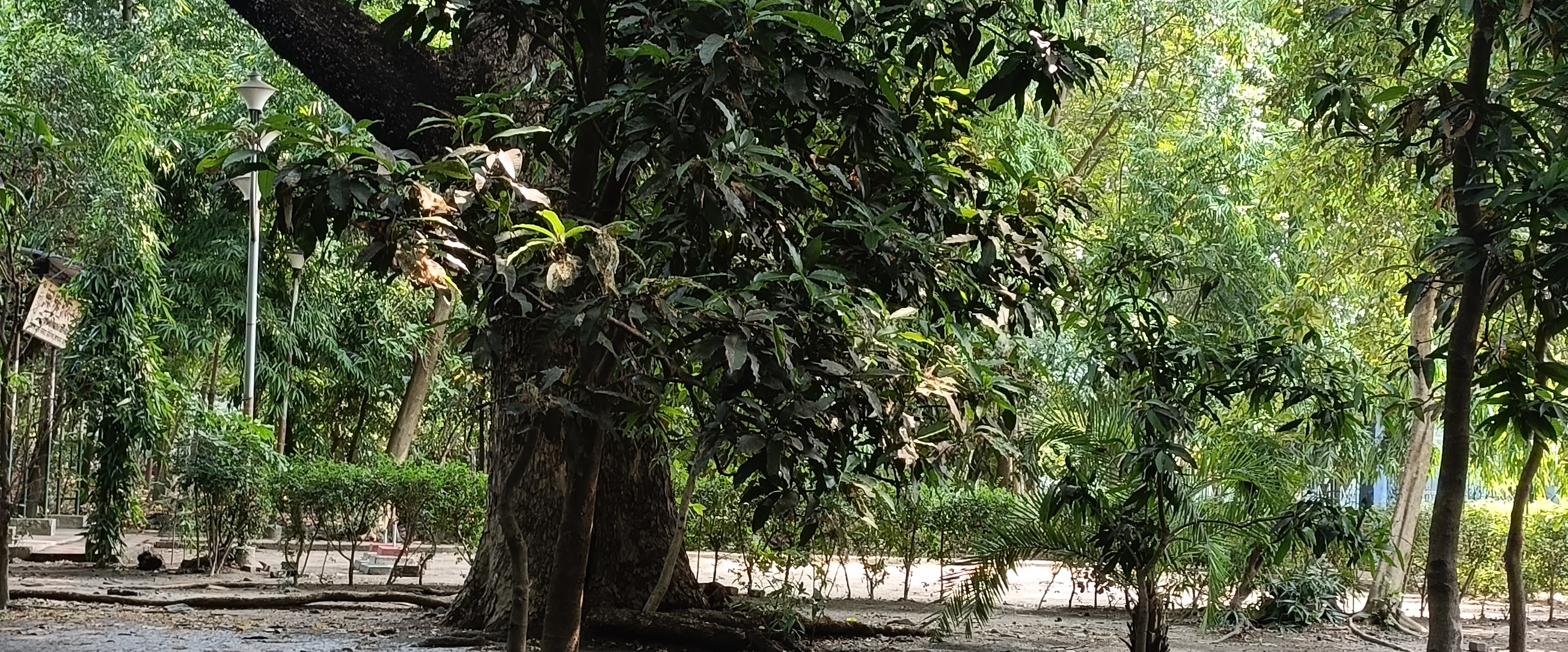 challenge background