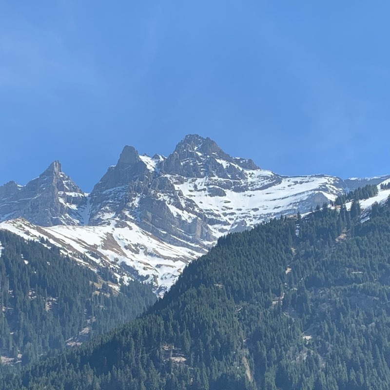 Entre Bruz 🇫🇷 & Lausanne🇨🇭 logo