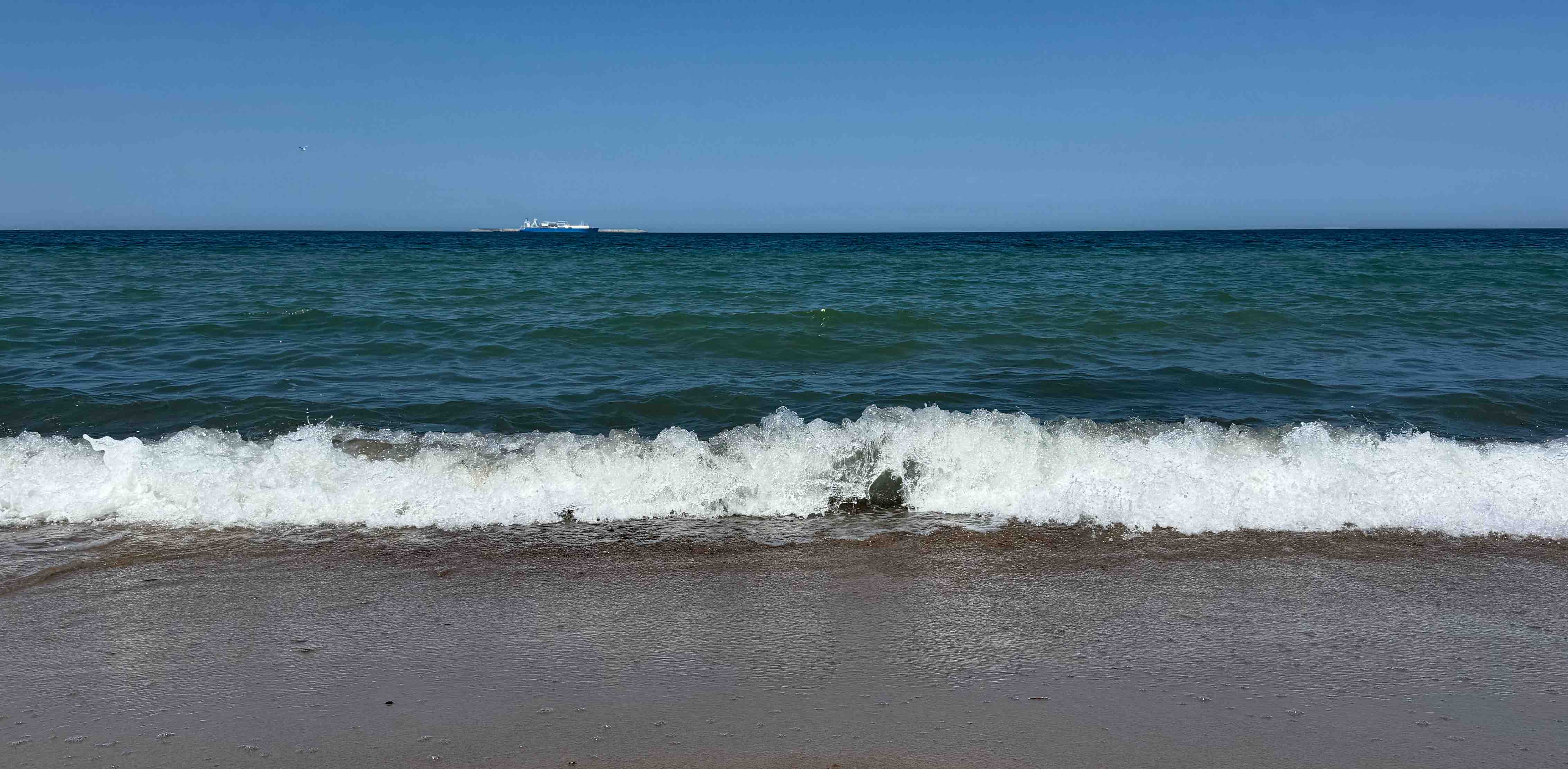 🌼Июньское Счастье 🌼June Happy 🌼 logo