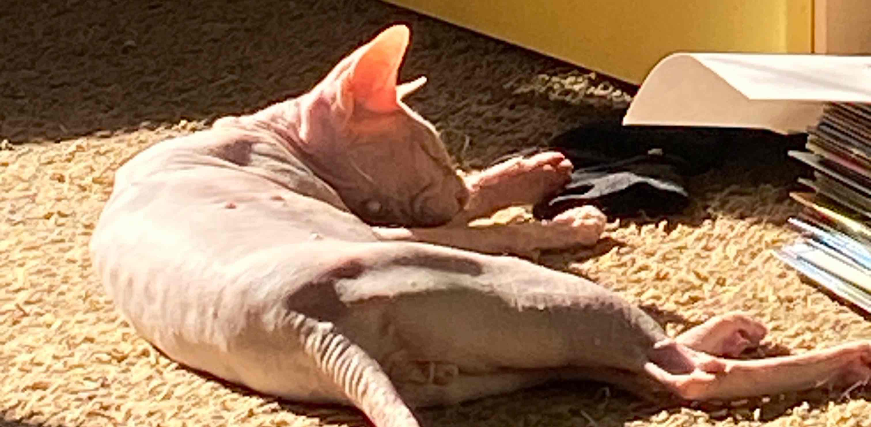 challenge background