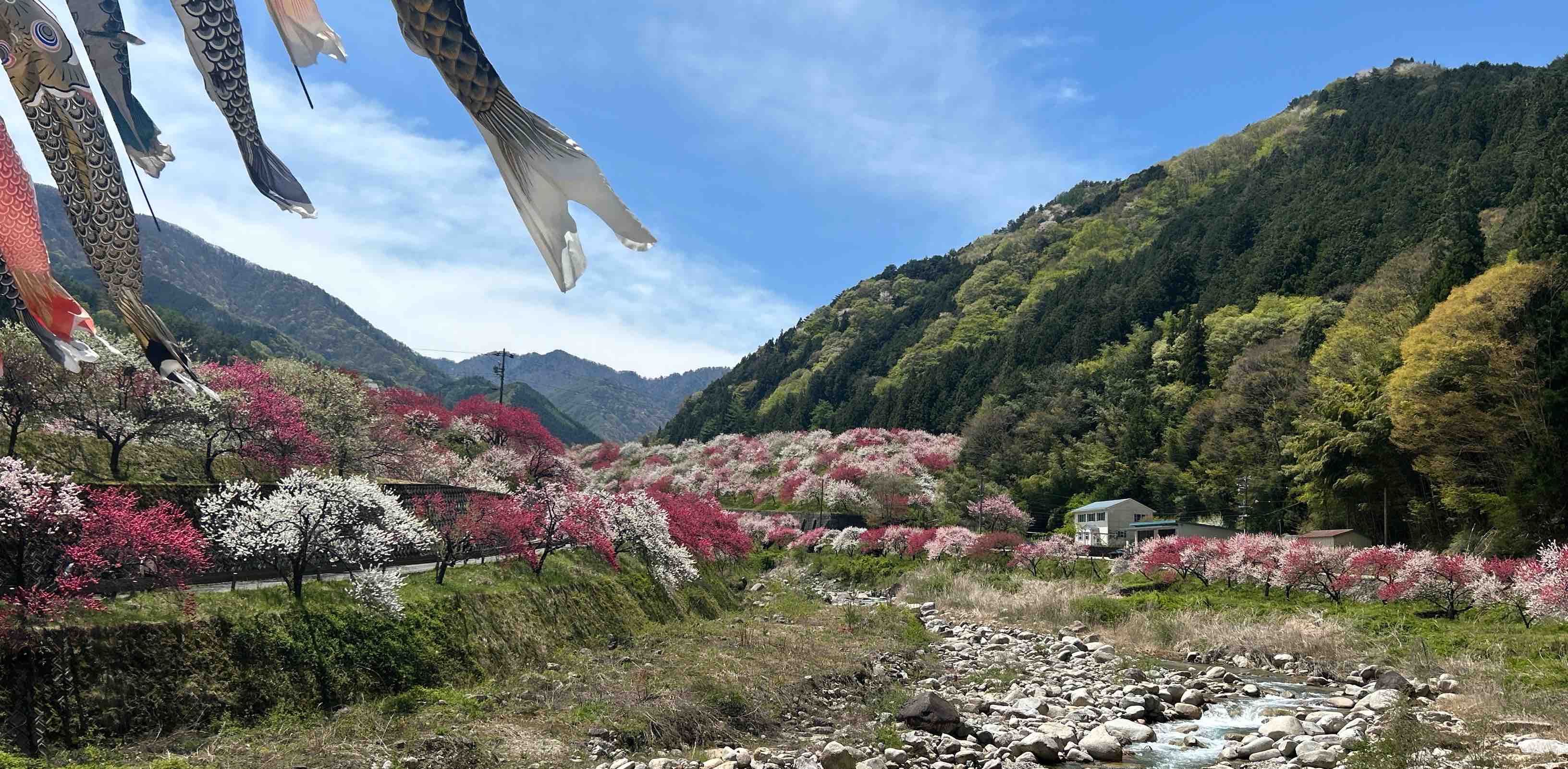 challenge background