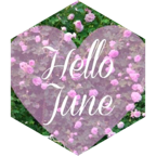 June Summers Challenge 🚶🏻‍♀️🥾🚶🚶‍♂️🇮🇩 icon