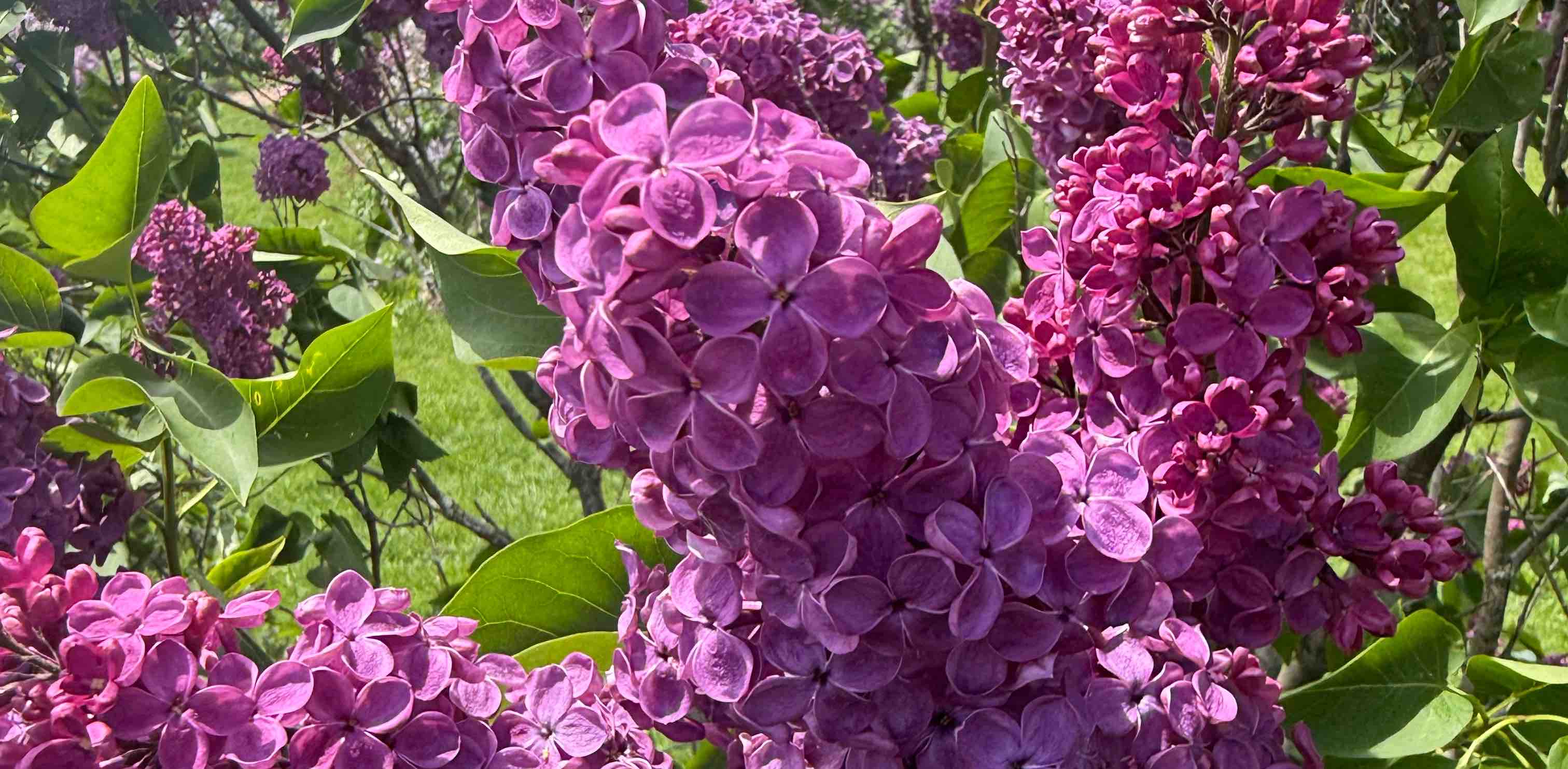 challenge background