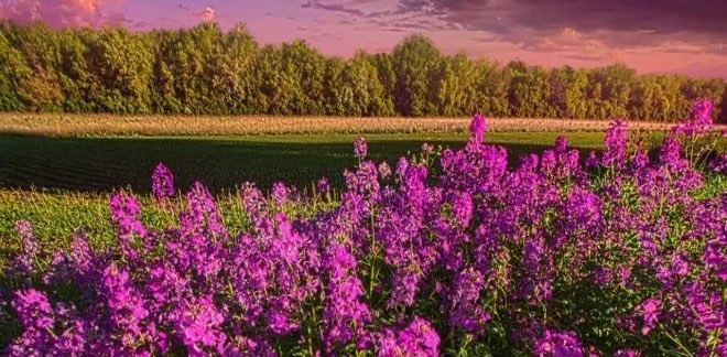 challenge background