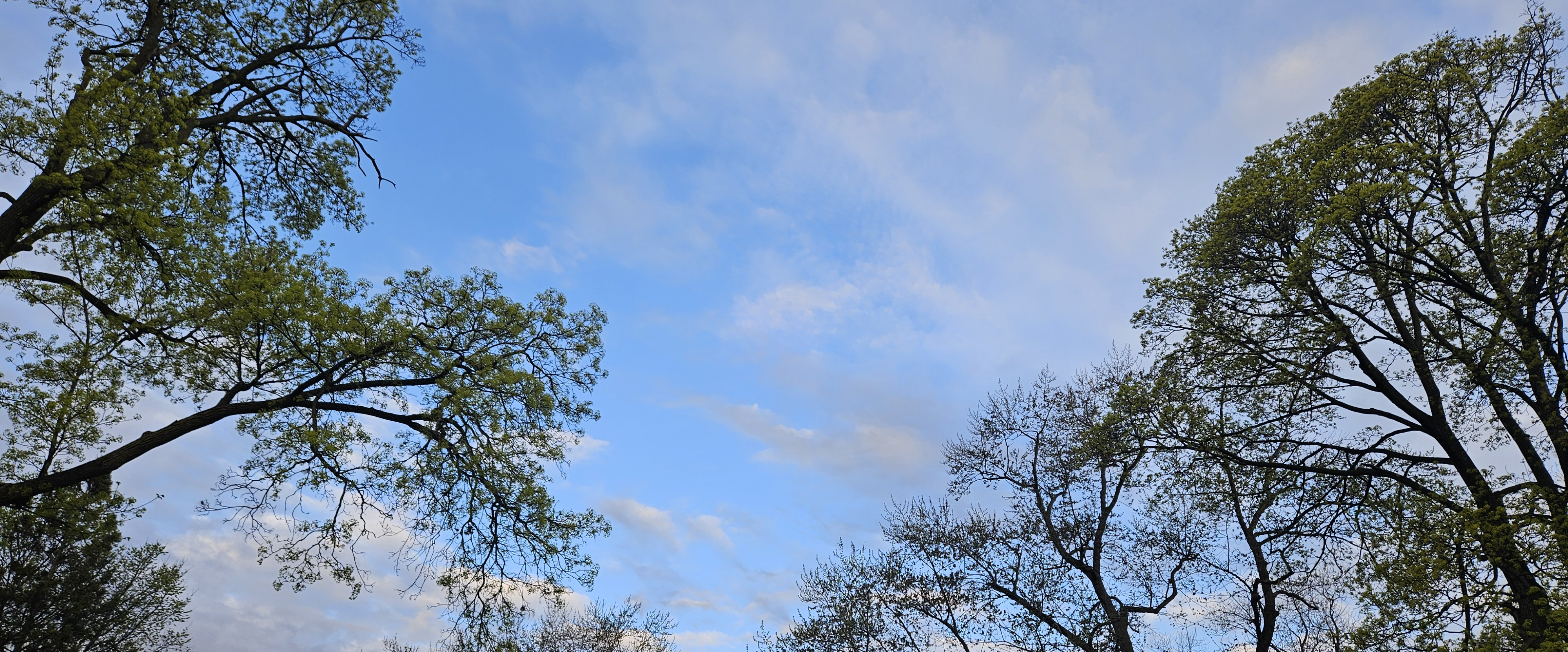 challenge background