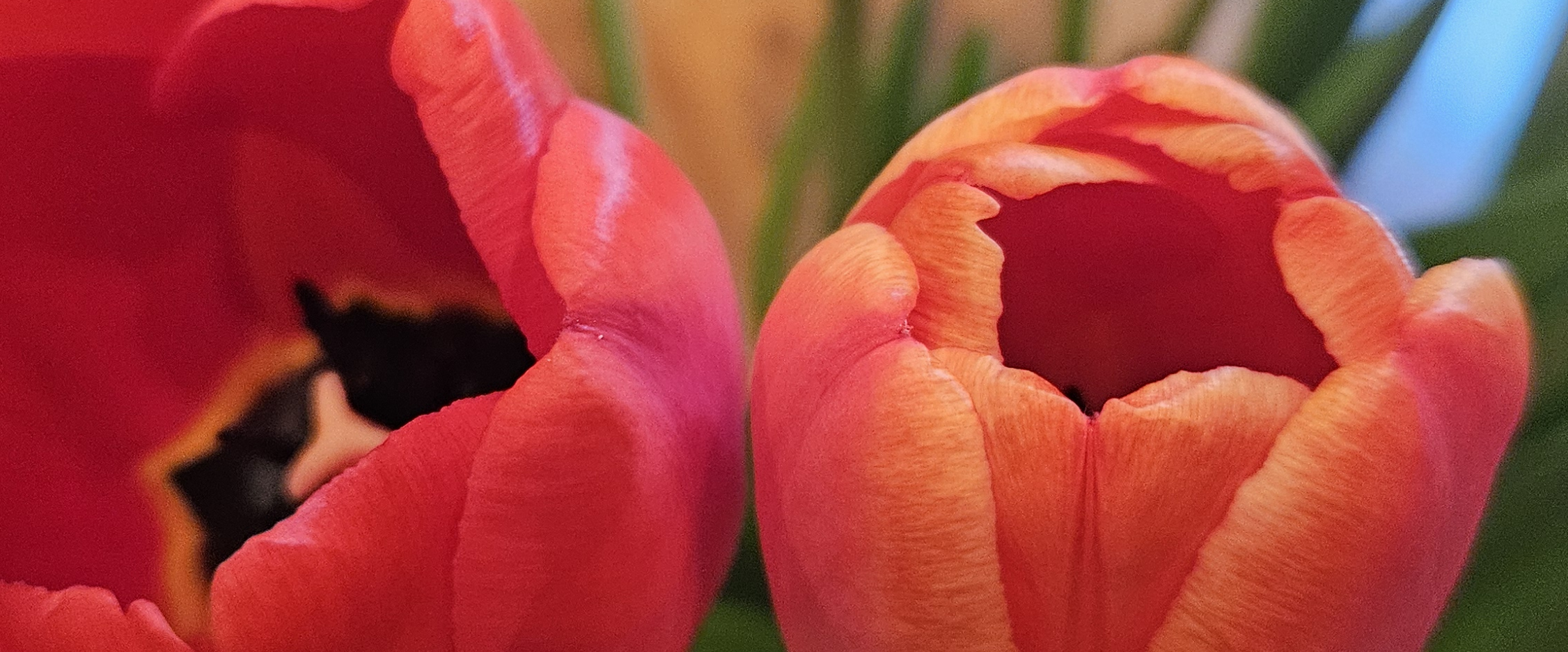 challenge background